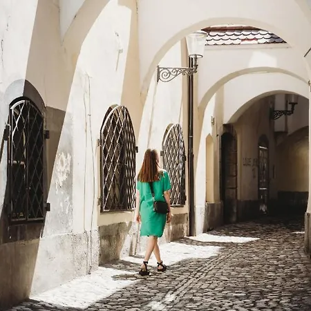 Romantic Jump Overlooking River, Free Parking Apartamento Liubliana