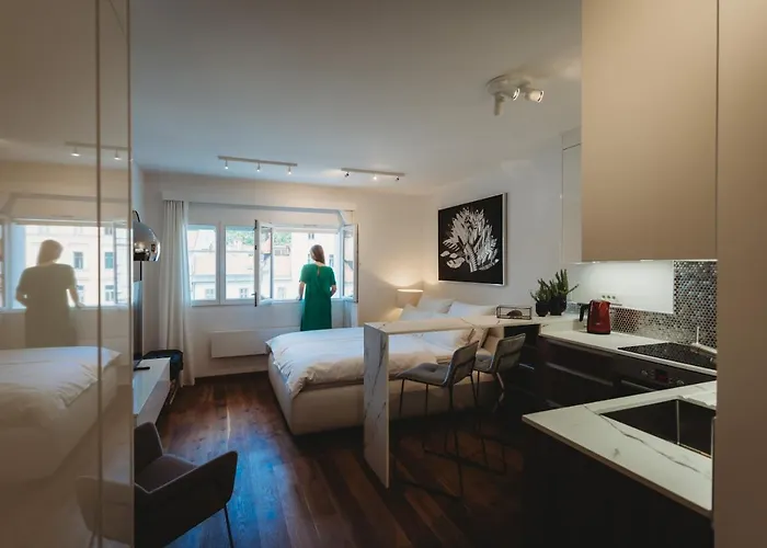 Romantic Jump Overlooking River, Free Parking 卢布尔雅那